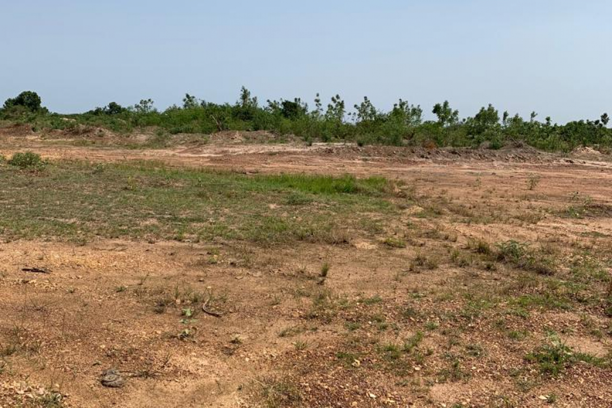 Tema Commercial Land